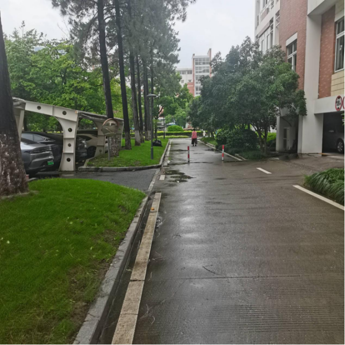停车版停好车后直走